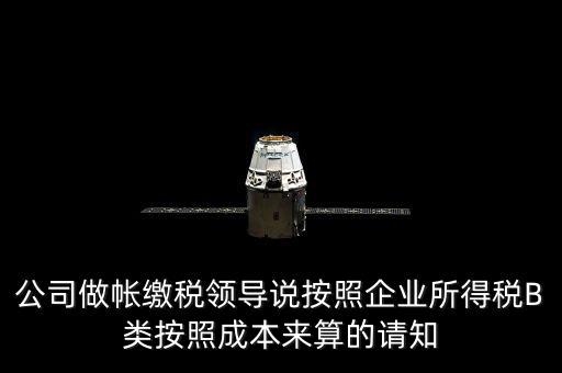 公司做帳繳稅領(lǐng)導說按照企業(yè)所得稅B類按照成本來算的請知