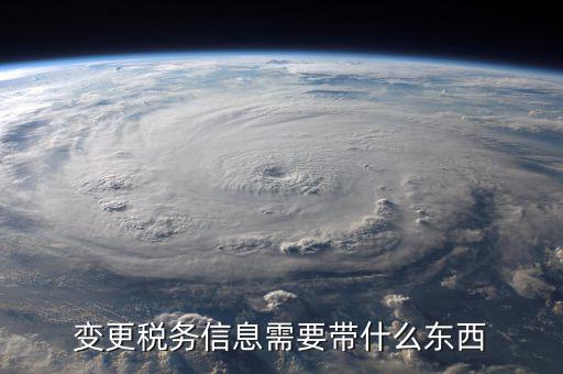 變更稅務信息需要帶什么東西