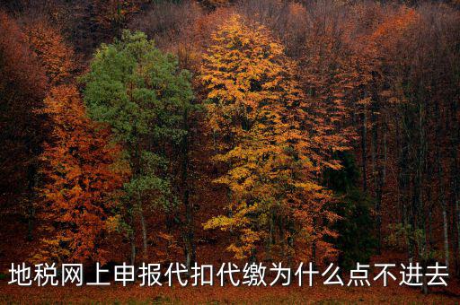 地稅從租計征為什么無法點開，地稅網(wǎng)上申報代扣代繳為什么點不進去