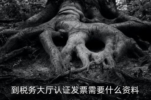 到稅務(wù)大廳認證發(fā)票需要什么資料