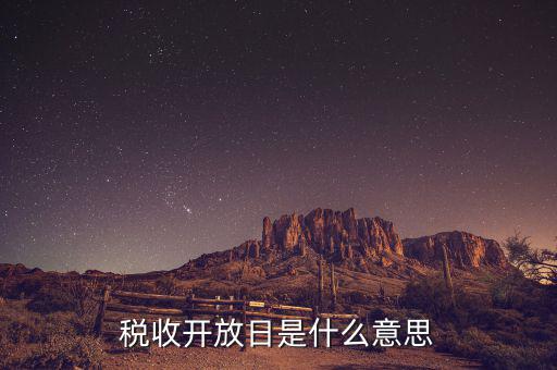 國(guó)稅開放日是什么意思，稅收開放日是什么意思