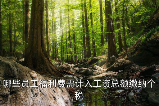 什么樣的福利費(fèi)要交個(gè)稅，什么樣的福利費(fèi)不需要交納個(gè)人所得稅呢