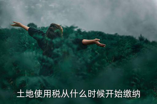 城鎮(zhèn)土地使用稅什么時候交，房地產開發(fā)企業(yè)繳納城鎮(zhèn)土地使用稅的時間是多久