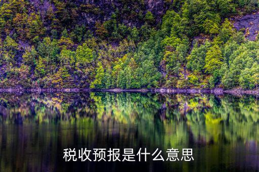 稅收預測什么意思，稅收分析和稅收預測是什么關(guān)系稅收分析預測制度 應該怎么從哪方面