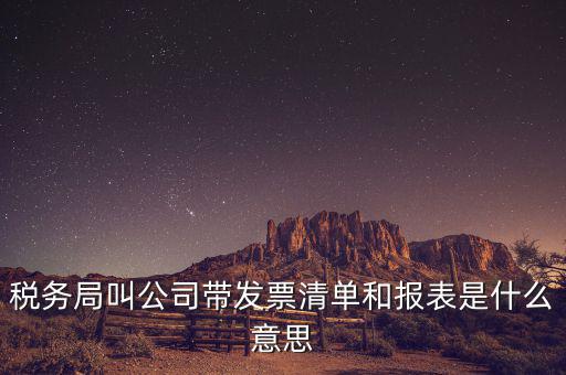 發(fā)票清單是什么意思，稅務(wù)局叫公司帶發(fā)票清單和報(bào)表是什么意思