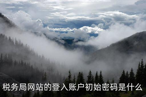 廣東國稅網(wǎng)登錄密碼是什么意思，稅務(wù)局網(wǎng)站的登入賬戶初始密碼是什么