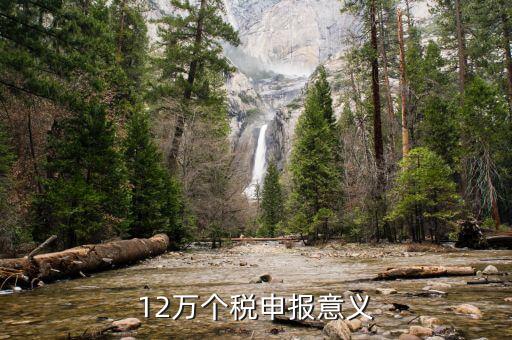 12萬為什么個稅申報表，12萬以上個人所得稅申報是什么意思