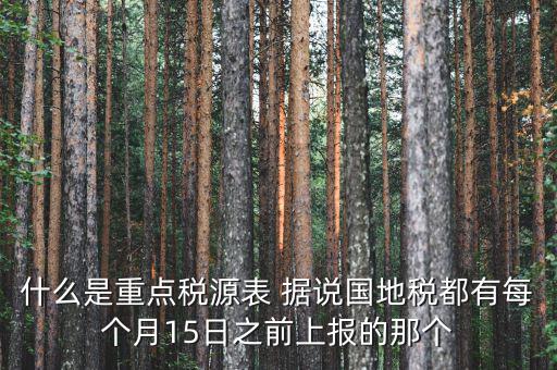 稅源監(jiān)控表是什么，股東股權(quán)變更稅源監(jiān)控登記表怎么填寫