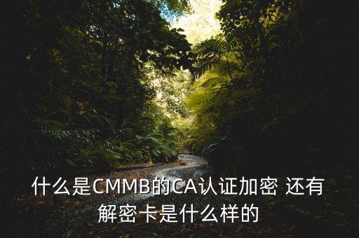東莞ca證書密碼是什么意思，機構代碼的ca證書的PIN碼是什么我用CA證書登陸國稅時提示詳細
