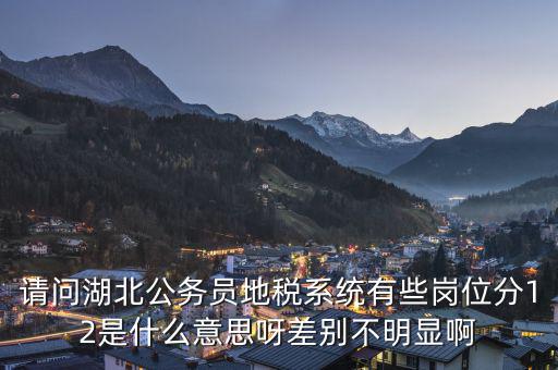 地稅上線是什么意思，0801國(guó)稅地稅啥意思