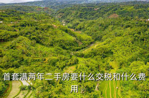 賣滿2年的房子交什么稅，商品房滿2年了出售的話需要交哪些稅詳細點