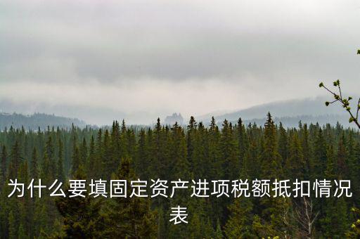 為什么要填固定資產進項稅額抵扣情況表