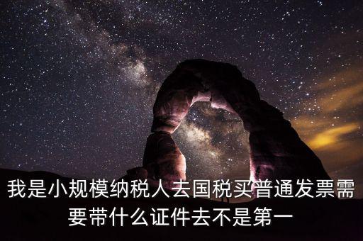 我是小規(guī)模納稅人去國(guó)稅買(mǎi)普通發(fā)票需要帶什么證件去不是第一