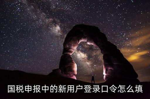 國稅用戶口令是什么，我想問下國家稅務(wù)網(wǎng)上申報點擊安全登錄時出現(xiàn)的用戶口令是什么