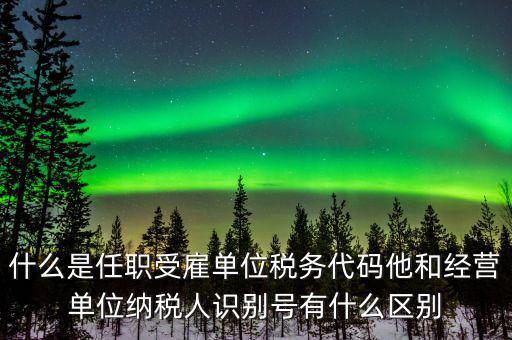 報稅自然人識別號是什么，個稅申報顯示存在相同唯一識別號是什么意思
