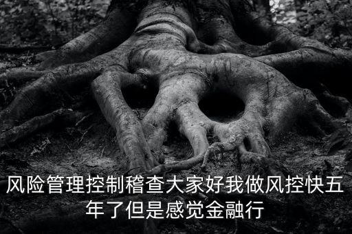 稽查風險管控是什么意思，股票中1風險提示 違規(guī)稽查是什么意思