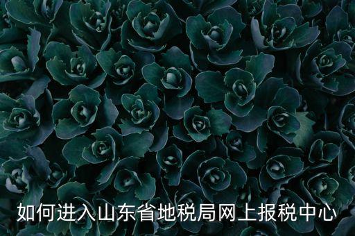 山東地稅密碼是什么，我在山東地稅網(wǎng)上報(bào)稅密碼怎么查