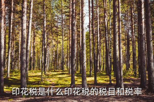印花稅且什么稅，印花稅屬于什么稅種