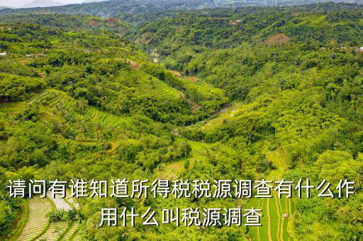 稅源調(diào)查是什么，稅源調(diào)查的數(shù)據(jù)是不是作為交稅的依據(jù)