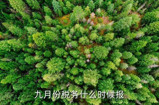 2017年9月份的稅什么報完，誰知道今年9月的個人所得稅怎么報怎么來計算的