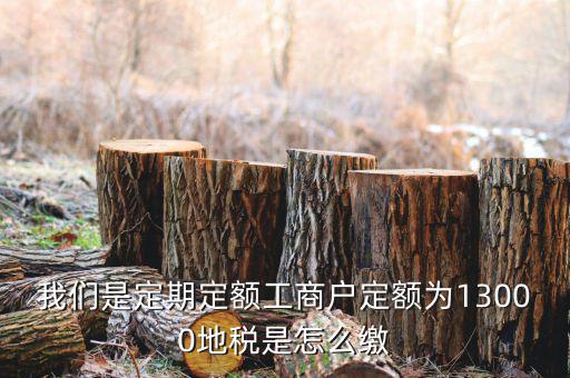 地稅定期定額戶是什么意思，我們是定期定額工商戶定額為13000地稅是怎么繳