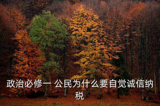 政治必修一 公民為什么要自覺誠(chéng)信納稅
