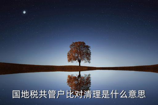 什么是國(guó)地稅共管，國(guó)稅地稅共管公司都需要每個(gè)月報(bào)稅嗎意思就是說我每個(gè)月地稅