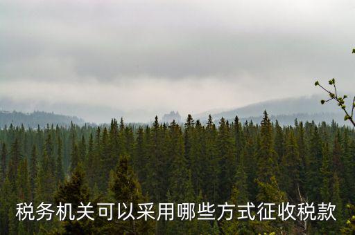 稅務(wù)局按什么征收稅務(wù)，稅務(wù)機(jī)關(guān)可以采用哪些方式征收稅款