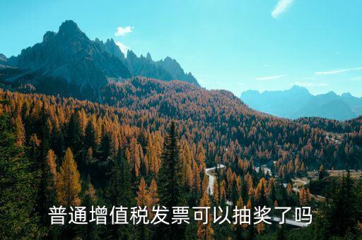 什么樣的發(fā)票才能抽獎，發(fā)票怎么抽獎