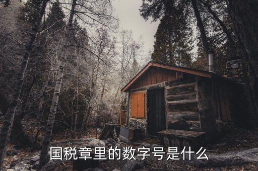 發(fā)票章中間數字是什么，國稅章里的數字號是什么