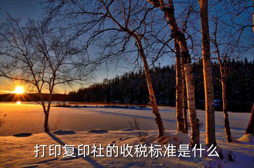 打字復(fù)印交什么稅，打印復(fù)印社的收稅標(biāo)準(zhǔn)是什么