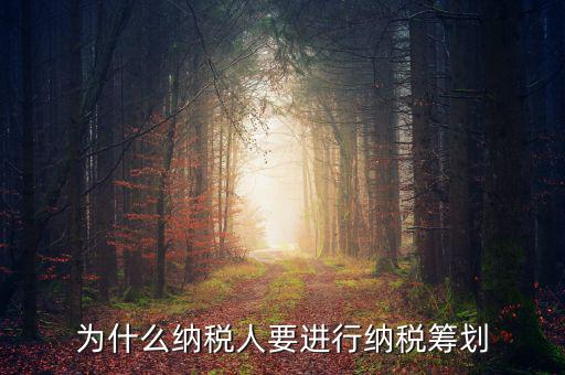 為什么要進(jìn)行稅收規(guī)劃，為什么納稅人要進(jìn)行納稅籌劃