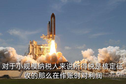 核定征收 有什么利，我不知道核定征收與查賬征收那個(gè)對(duì)公司有利些