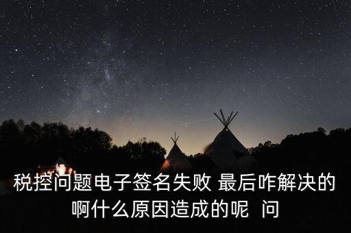 什么是稅控簽名，報(bào)稅時(shí)數(shù)字簽名是甚么意思