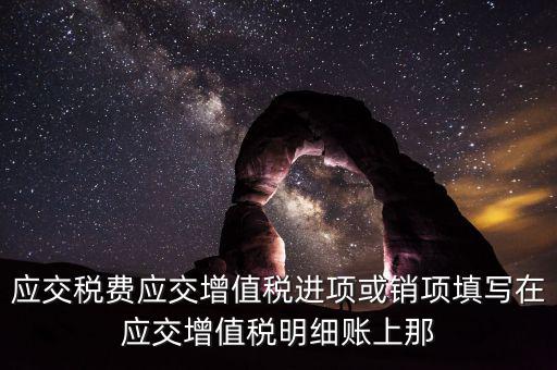 扣繳稅款登記填什么稅，在個(gè)人所得稅代扣代繳軟件中所要填寫的稅務(wù)登記號(hào)是填國(guó)稅的還是地