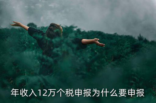 為什么12萬個稅申報表，12萬以上個人所得稅申報是什么意思