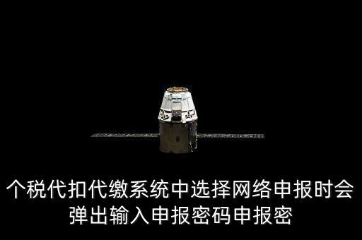 個(gè)稅申報(bào)密碼是什么意思，網(wǎng)上報(bào)稅 報(bào)稅密碼是什么