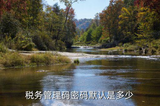 稅務管理碼密碼默認是多少