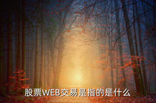 e稅通是什么，微軟認證是什么意思