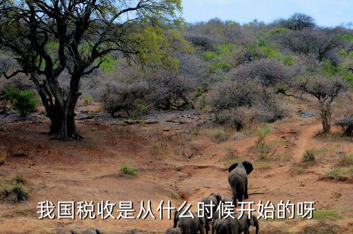 我國(guó)最早出現(xiàn)稅收是什么時(shí)候，我國(guó)稅收是從什么時(shí)候開(kāi)始的呀