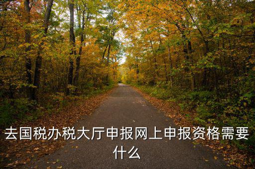 國稅網(wǎng)上申報用什么資料，去國稅辦稅大廳申報網(wǎng)上申報資格需要什么