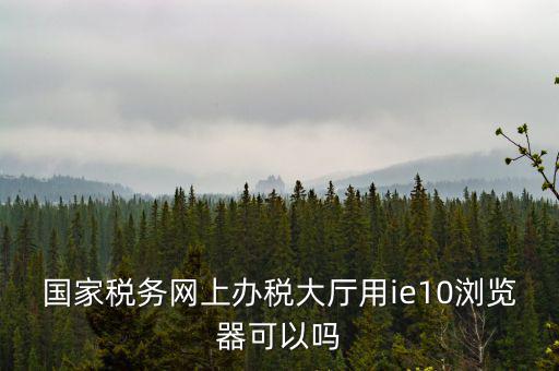 國稅網(wǎng)上申報用什么瀏覽器，山東國稅網(wǎng)上申報系統(tǒng)需要什么瀏覽器