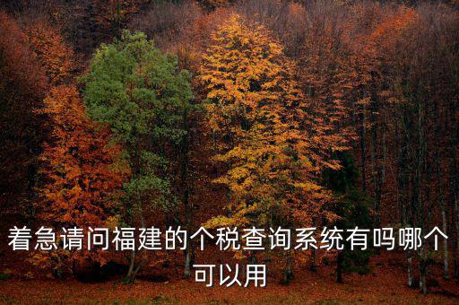 著急請問福建的個(gè)稅查詢系統(tǒng)有嗎哪個(gè)可以用