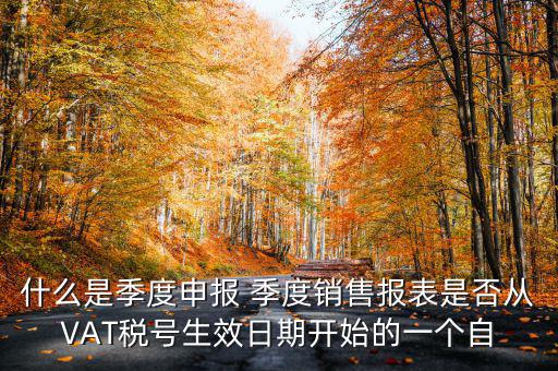 什么是季度申報表，有關(guān)企業(yè)申報的季度報表