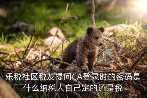 樂(lè)稅社區(qū)稅友提問(wèn)CA登錄時(shí)的密碼是什么納稅人自己定的還是稅