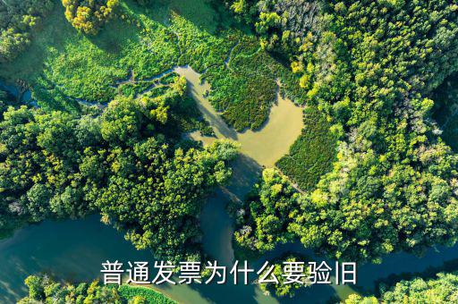 普票驗(yàn)舊驗(yàn)什么，發(fā)票驗(yàn)舊是什么意思
