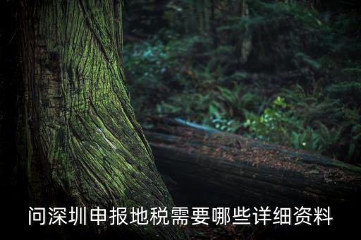 深圳市的地稅申報是什么，深圳市地稅怎么申報