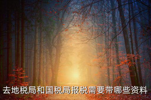 國稅報稅需要什么材料，去地稅局和國稅局報稅需要帶哪些資料