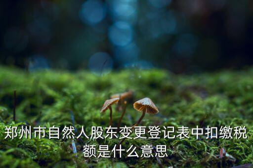扣繳稅款登記是什么意思，應(yīng)當(dāng)按照稅收征管法等有關(guān)規(guī)定辦理扣繳稅款登記領(lǐng)取扣繳憑