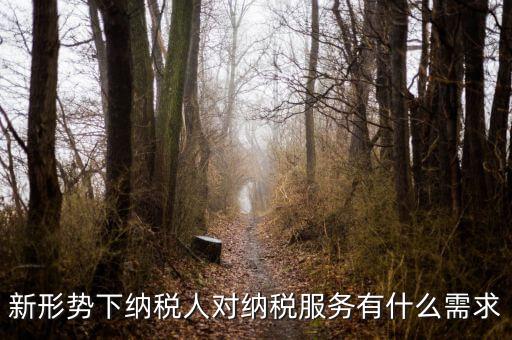 納稅服務(wù)的要求是什么，新形勢(shì)下納稅人對(duì)納稅服務(wù)有什么需求